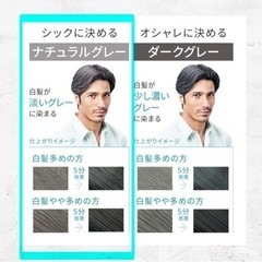 【新品】ホーユー メンズビゲングレーヘアの画像