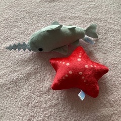 海のゆかいな仲間たち