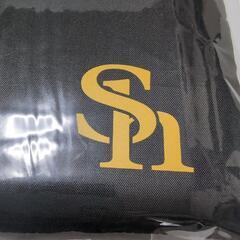 【新品未開封】ポータブルシートクッションの画像