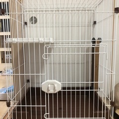 猫ゲージ