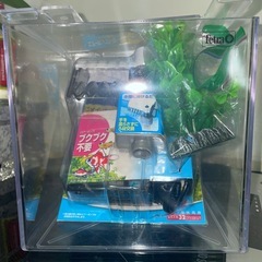 断捨離中〜水槽セット