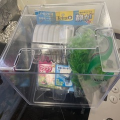 断捨離中〜水槽セットの画像
