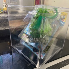 断捨離中〜水槽セットの画像