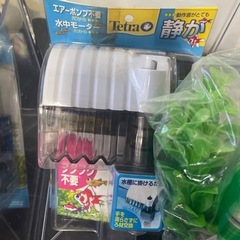 断捨離中〜水槽セットの画像