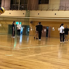 バレーサークル！ - スポーツ