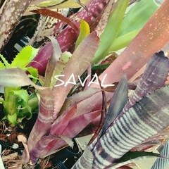 【11/17】稲毛海浜公園開催イベント出店 - フリーマーケット