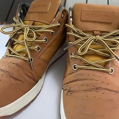 AVI RE X 26cmの画像