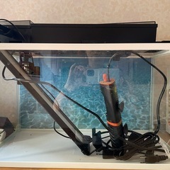 水槽、ヒーター、ライト、濾過器の画像