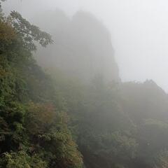 妙義山、紅葉情報！ − 群馬県