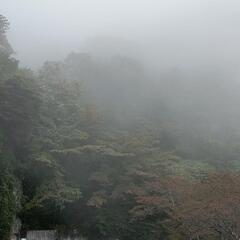 妙義山、紅葉情報！ - メンバー募集