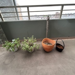 終了　
植木鉢　4点の画像