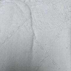 柔道着の画像