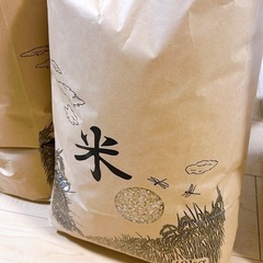 コシヒカリ 源流育ち 一等米 新米 令和6年10月収穫 10kg〜