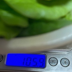 おかわかめ①の画像