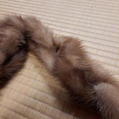 ファーの画像