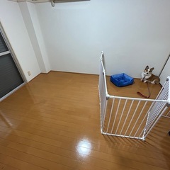 ペットサークルの画像