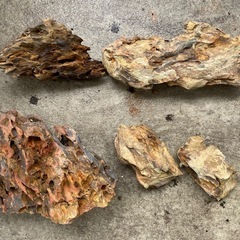 アクアリウム　淡水　石　茶色