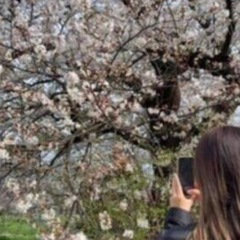 困っています。スマートフォンで現場確認して下さる方探しています。