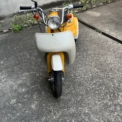 ダイハツハロー　マスタードversion
