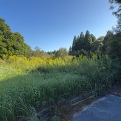 千葉県長生郡白子町関 #179 不動産0円物件 - 土地販売/土地売買