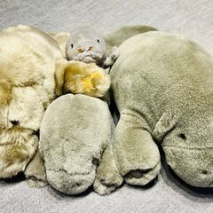 マナティグッズの画像