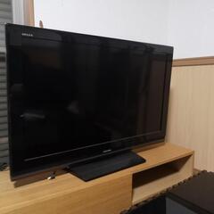 テレビ TV