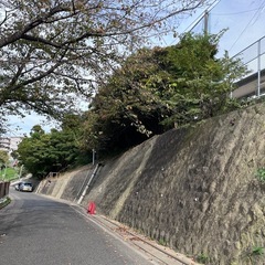 【見積無料】草刈り、剪定おまかせ下さい！ - 古賀市