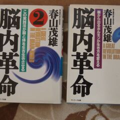 脳内革命