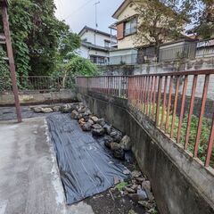 テラリウム用自然石　譲渡会　毎週土曜日