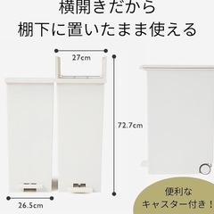 ケユカ] KEYUCA 両開きダストボックス LL（42L）の画像