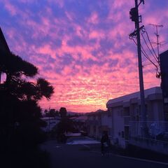 動画制作の仲間を大募集中です！ - その他