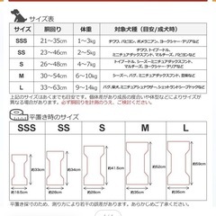 犬用　
紙オムツ2枚の画像