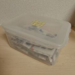 昆虫標本　ダイコクコガネ大量　未展足の画像