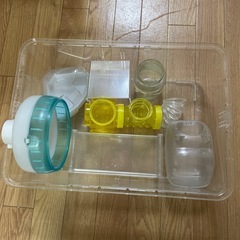 ルーミィ