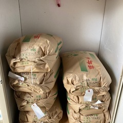 令和6年産 新米コシヒカリ 玄米 30kg  恐竜の町勝山産　　　　の画像