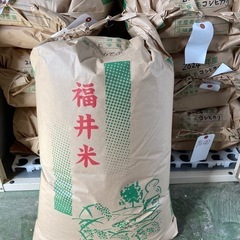 福井県の玄米の中古が安い!激安で譲ります・無料であげます 福井県の玄米の中古が安い!激安で譲ります・無料であげます