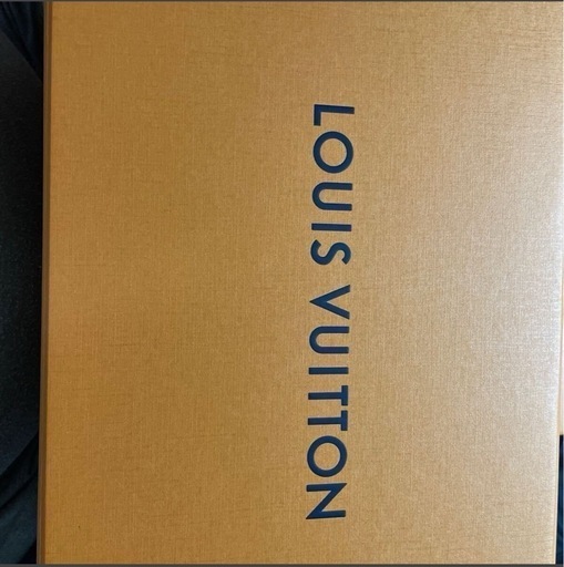 ルイヴィトン折り畳みBOX大、4点