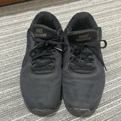 NIKE ランニングシューズの画像
