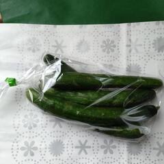 きゅうり🥒