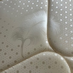 お値下げ相談可能【10/31(木)14時までにお受取り可能な方】シングルマットレスの画像