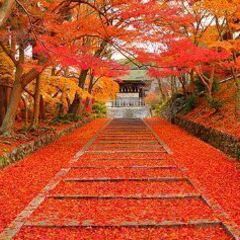一緒にウォーキングしませんか