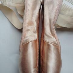 チャコット トウシューズ 22cmの画像