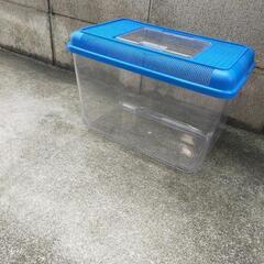プラスチック水槽　虫籠