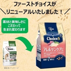 ドックフード