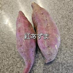 さつまいも 食べ比べセット