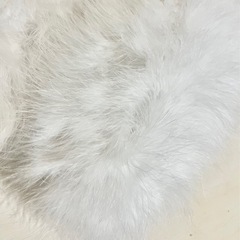【美品】成人式 ホワイトファーネックウォーマーの画像