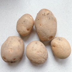 きたあかり(ジャガイモ)🥔
