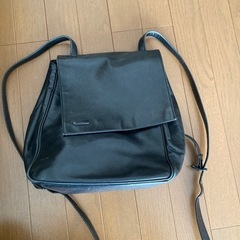 MIYAKE DESIGN STUDIO リュック の画像