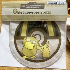 ★5点セット★　ポケモン　メラニン 皿　保存袋の画像