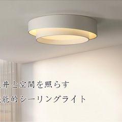 シーリングライト【中古】の画像
